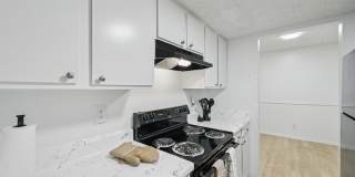 Marco Meadows Gallery 10