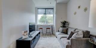 The Ayva Midtown Gallery 16