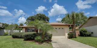 2634 Shadybranch Drive 2634 Shadybranch Drive Gallery 1