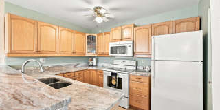 Furnished Ground Floor Corner Unit - Palm Harbor! Gallery 11