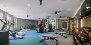 Cortland Belmar Gallery 38