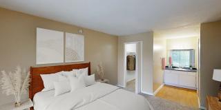 Venetian on Ella Gallery 1