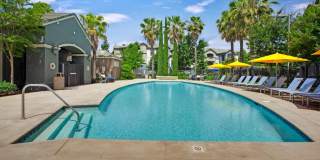 Broadleaf Apartments Gallery 31