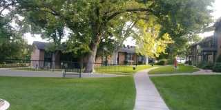 Orchard Gardens  (OG) Gallery 17