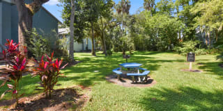 Ocean Oaks Gallery 19