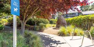 The Cove at Tiburon Gallery 36