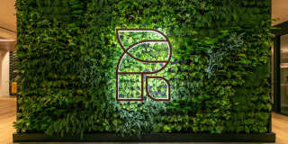 The Rinrose Gallery 1