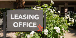 Amara Spring Valley Apartments Gallery 30