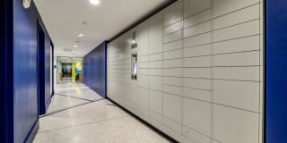 Radius Gallery 19