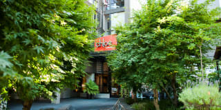 The Chloe Apartments Gallery 18