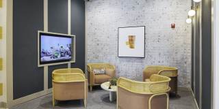 The Dahlia Gallery 16
