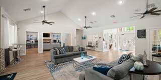 Forest View Gallery 29
