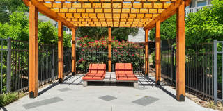 Palmetto Place Gallery 12