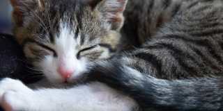 Huntington Pointe III Gallery 22