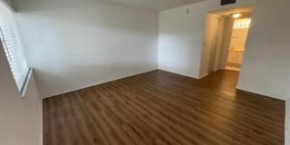 701 N Pine Island Road Gallery 4