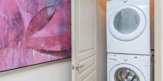 RIZE at Winter Springs Gallery 58