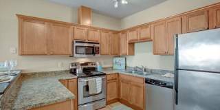 The Vintage Gallery 3