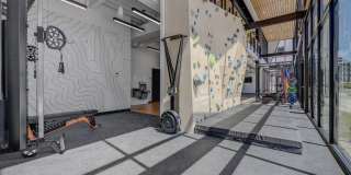 Terra Vista Gallery 27