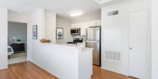 Park Sierra Gallery 16