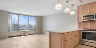 1550 N Lake Shore Drive Gallery 2