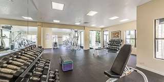 15 Shoreline Ct Gallery 8