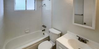 Summer Woods Gallery 20