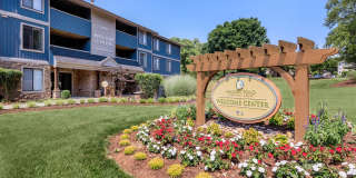 Walden Pond Gallery 25