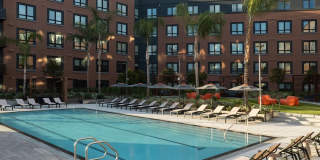 Orlo & Alba Gallery 1