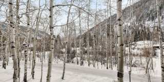 1439 Crystal Lake Road Gallery 28