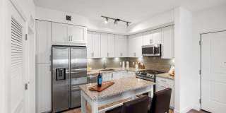 Town Treeline Gallery 19