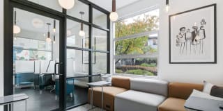 CitySouth Gallery 32