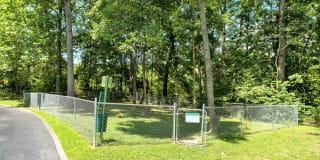 Cross Creek Gallery 15