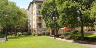 City Plaza Gallery 17