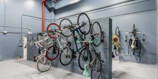 Lector 85 Gallery 24