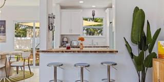 1579 BAYSHORE BOULEVARD Gallery 9