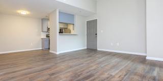 The Hazelwood Gallery 23