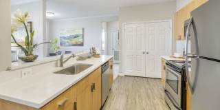 New Longview Gallery 1