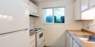 ReNew Johnson Creek Gallery 1