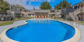 Oaks at Jane Lane Gallery 1