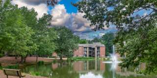 The Summit Gallery 26