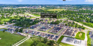 Hawthorne Grove Gallery 52