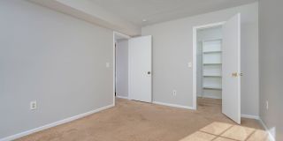 Steeplechase Gallery 19