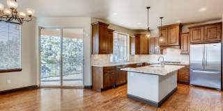 1696 Avenida Del Sol, Castle Rock, CO Gallery 10