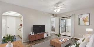 Twin Palms Gallery 37