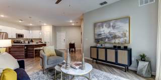 Cortland on Orange Gallery 6