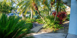 900 Cosmos Court Gallery 4