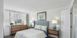 Nautilus Point Gallery 24