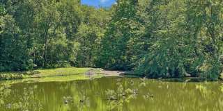 9404 MIRROR POND Drive Gallery 53