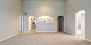 Ellery at Lake Sherwood Gallery 10