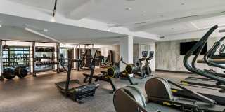 Overland & Ayres Gallery 15